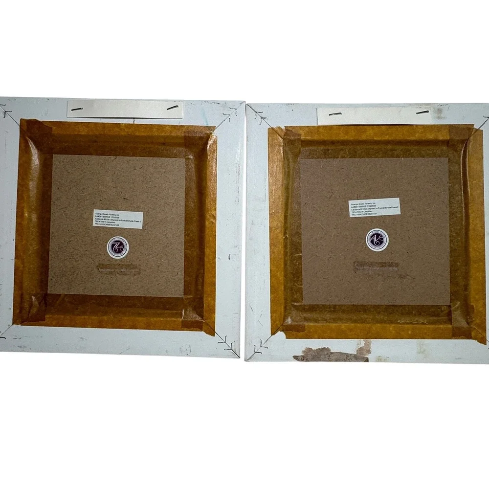 New View Gifts Bird Framed Wall Art Set of 2 Pink White Shabby Chic Floral 10x10